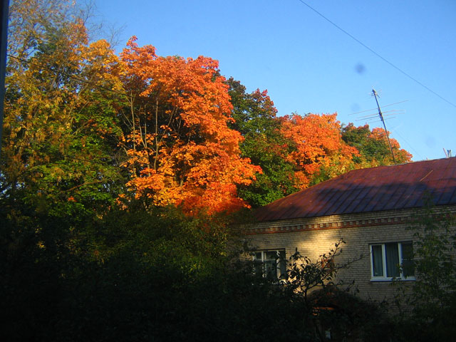 Осень